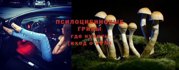 сатива Медвежьегорск