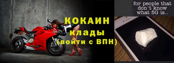 крисы Пересвет