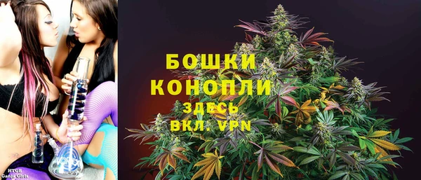 2c-b Мегион