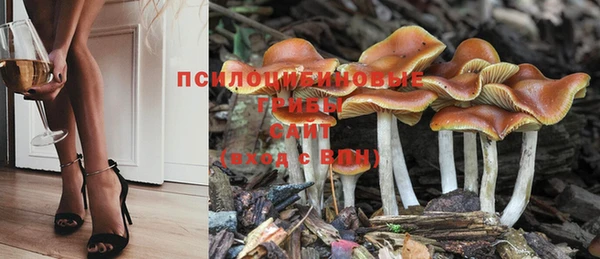 2c-b Мегион