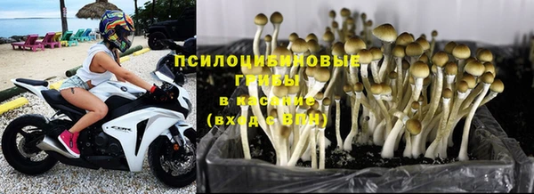 2c-b Мегион