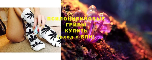сатива Медвежьегорск